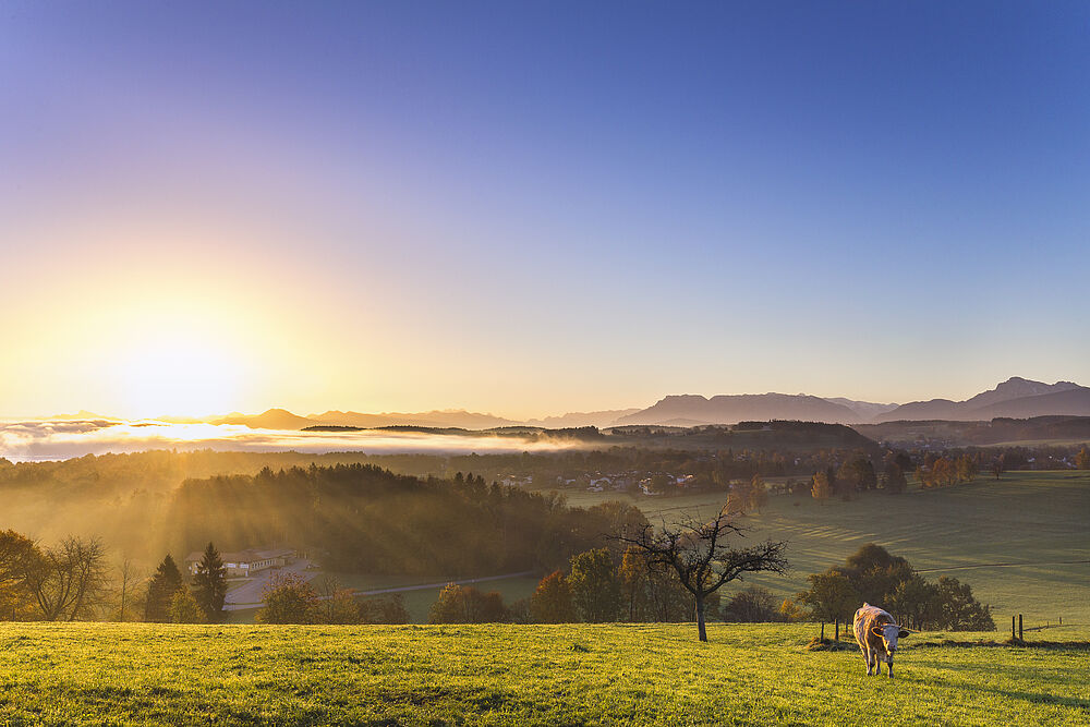 Sonnenaufgang Waginger See (c) Chiemgau Tourismus e.V.